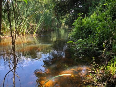 Bauernhof kaufen in Bahia Brasilien