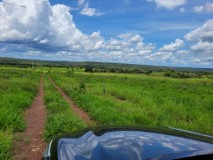 Bauernhof zu Verkaufen in Brasilien