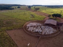 Bauernhof zu verkaufen in Brasilien