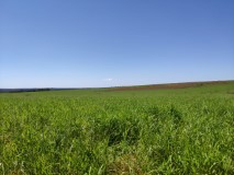 Fazenda mit 3580 ha in Brasilien