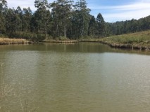 Fazenda kaufen in Minas Gerais Brasilien