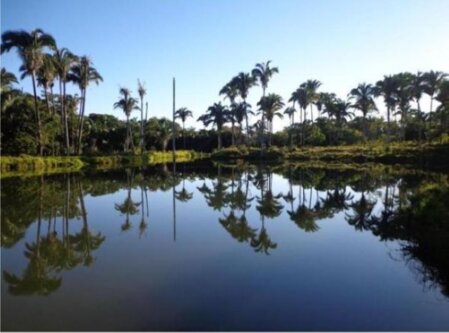 Fazendas in Minas Gerais Brasilien