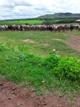 Fazenda in Brasilien mit 20800 ha