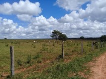 Agriculture in Mato Grosso Brazil