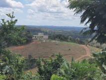 Farm with cocoa in Brazil