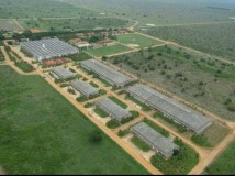 Ranch with livestock in Brazil