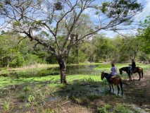 Fazenda à venda na Boa VIsta do Tupim BA