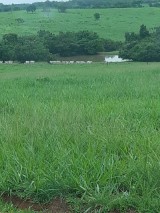 Fazenda à venda 20990 ha no Mato Grosso