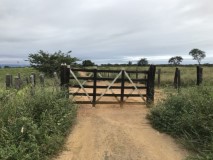 Fazenda com 943 ha em Andarai - BA